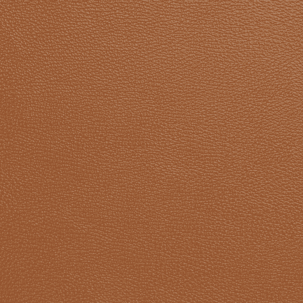 Cognac 363 Detalje