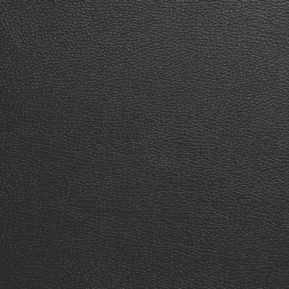 Sort Nero 1050