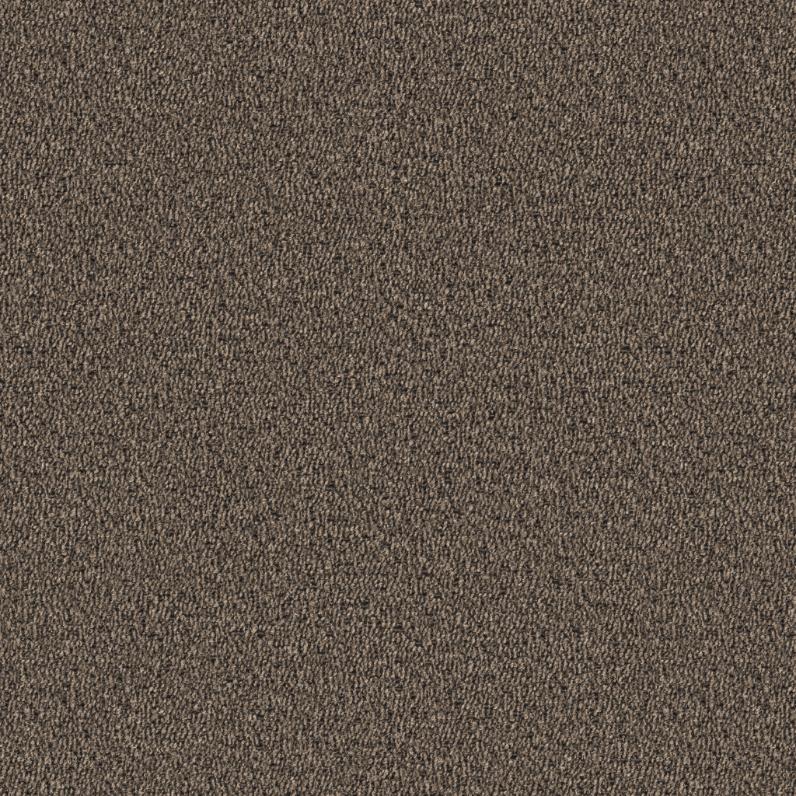 Cona Grå/Beige