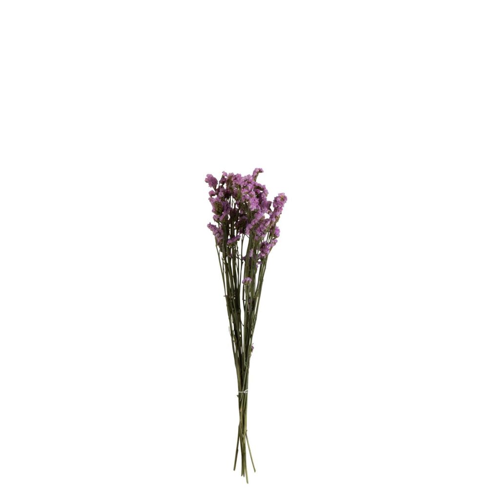 Tørrede blomster, forglemmigej - Møbelkompagniet